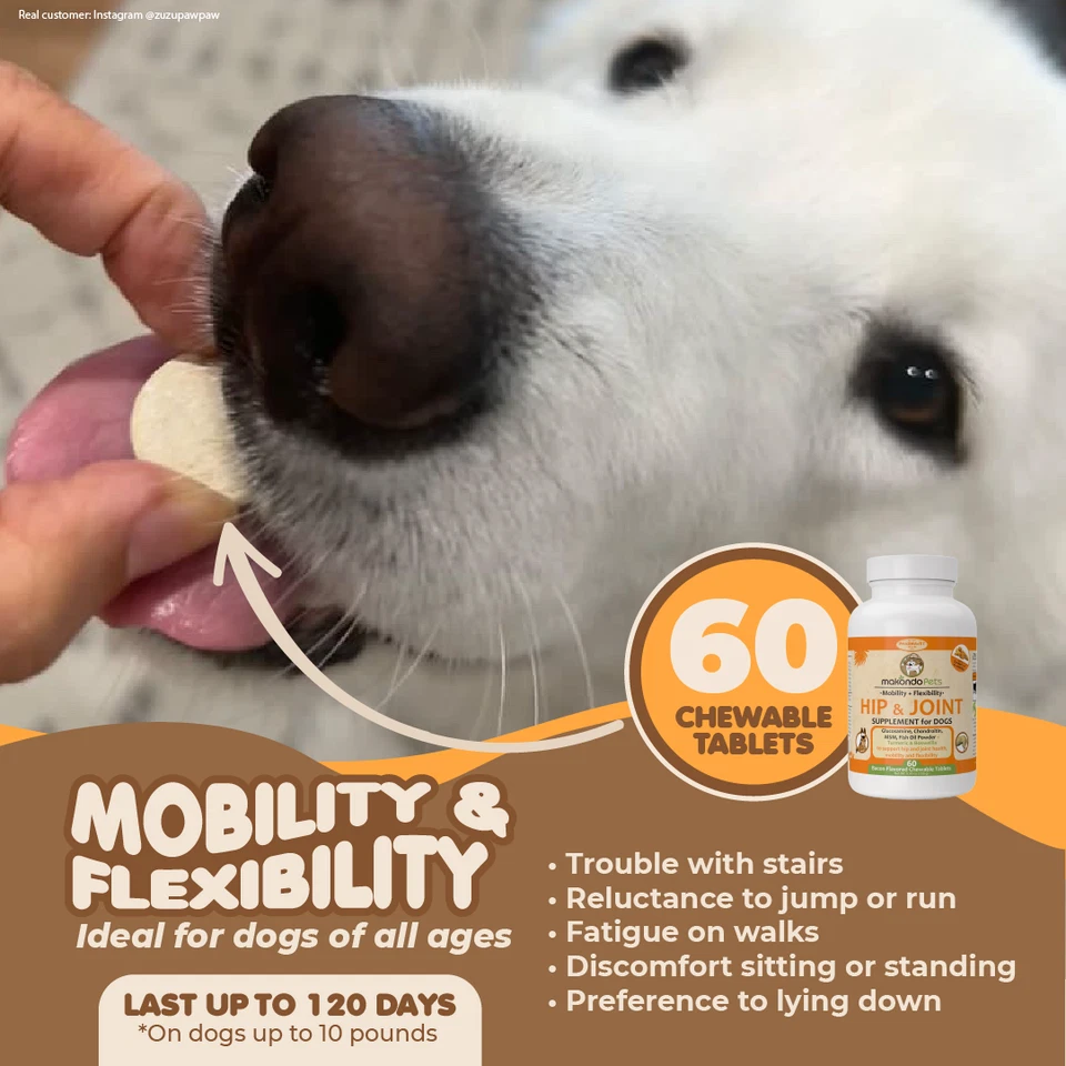 狗姜黄、葡萄糖胺髋关节和关节补充剂。 狗疼痛缓解60片 — 第 3/4 张图片