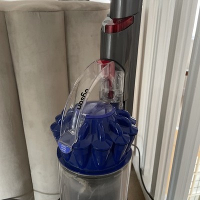 Dyson Ball Animal Bodenstaubsauger - Silber/Lila (394518-01)