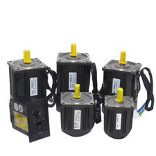 Motore Regolatore Velocità Ingranaggio 6W~250W AC 220V 1:3-1:500 Motore Riduttore Reversibile