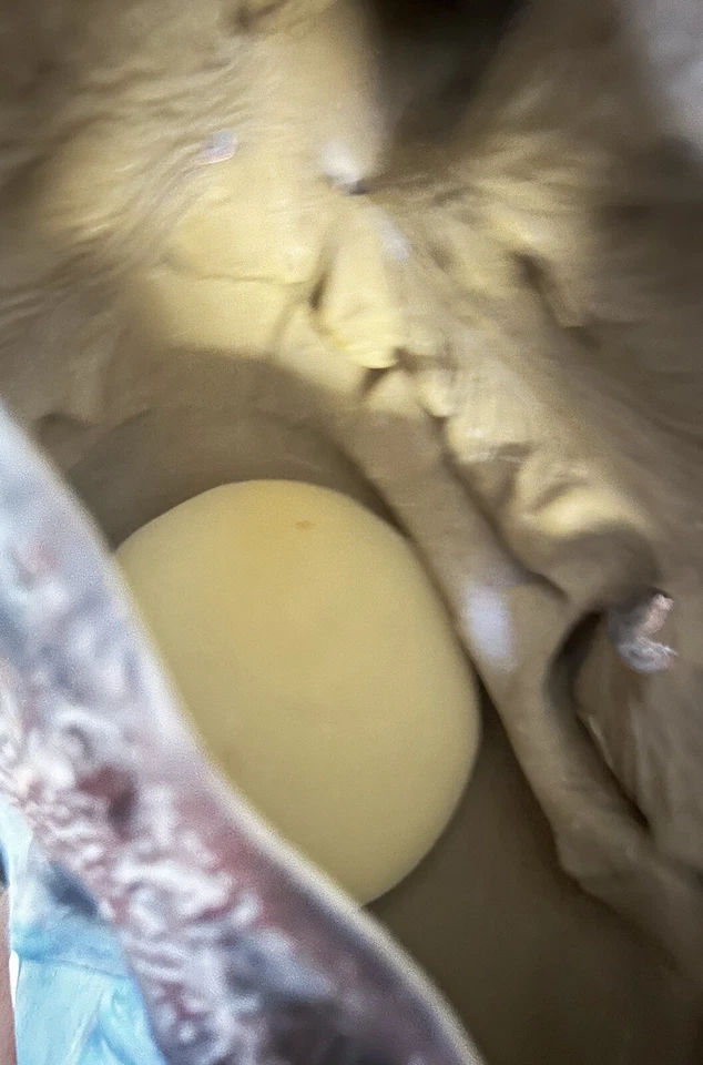 Big Bad Wolf With Grandma's Nightcap Mask Adult Amazing Halloween Pre-owned - Image 3 of 4