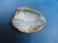 Decoupaged Clam Shell    Coastal Beach   Trinket Holder or Natural Display