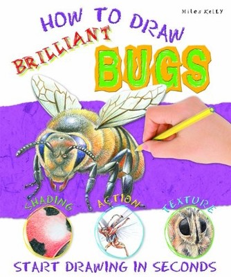 How to Draw Brilliant Bugs,Lisa Regan