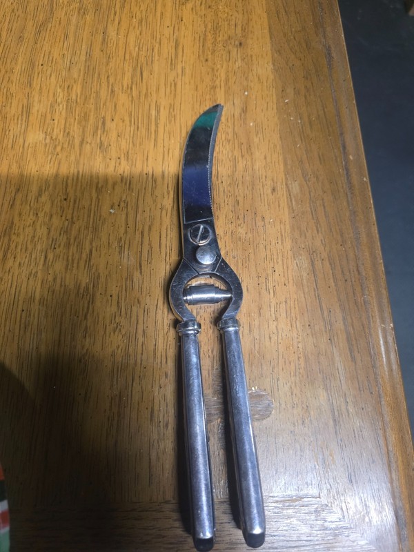Vintage poultry shears silver handle