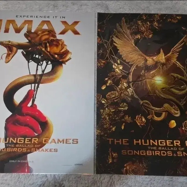 Hunger Games Poster Set 2pcs Collectible Movie Art