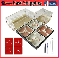 Ant Farm Nest Science DIY Terrarium Kit Care for Live Ants Ant Habitat with Wate