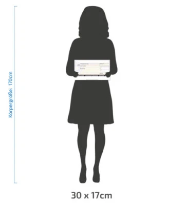 LITFAX Spendenscheck, PR-Scheck, Riesenscheck (30 x 17 cm) - verschiedene Vorlagen