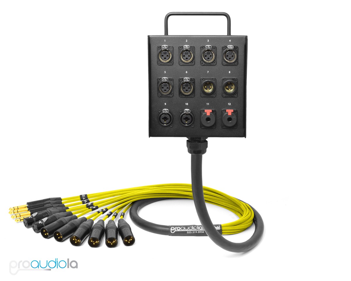 12 Channel Custom Mogami Studio Wall Stage Box Neutrik Gold