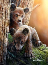 Being Curious by Kevin Daniel Fine Art Print Bear Cubs Wildlife Nature 20x26