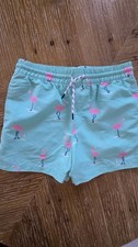 The Beaufort Bonnet Company Preppy Swim Trunks Flamingo Boys 8 Green -Pink