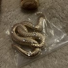 Besame Cosmetics Maria Felix Enamorada Lipstick And Snake Pin w/Crystals NIB — photo 3