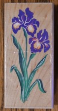 Stampendous Bold Irises N023 Flower Floral Rubber Stamp Garden Spring