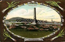 Anglesey  Holyhead Skinners Mont Printed Postcard unposted