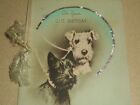 Hallmark 1937 Hall Brothers Black & White Irish Terrier Dogs 21st Birthday Card