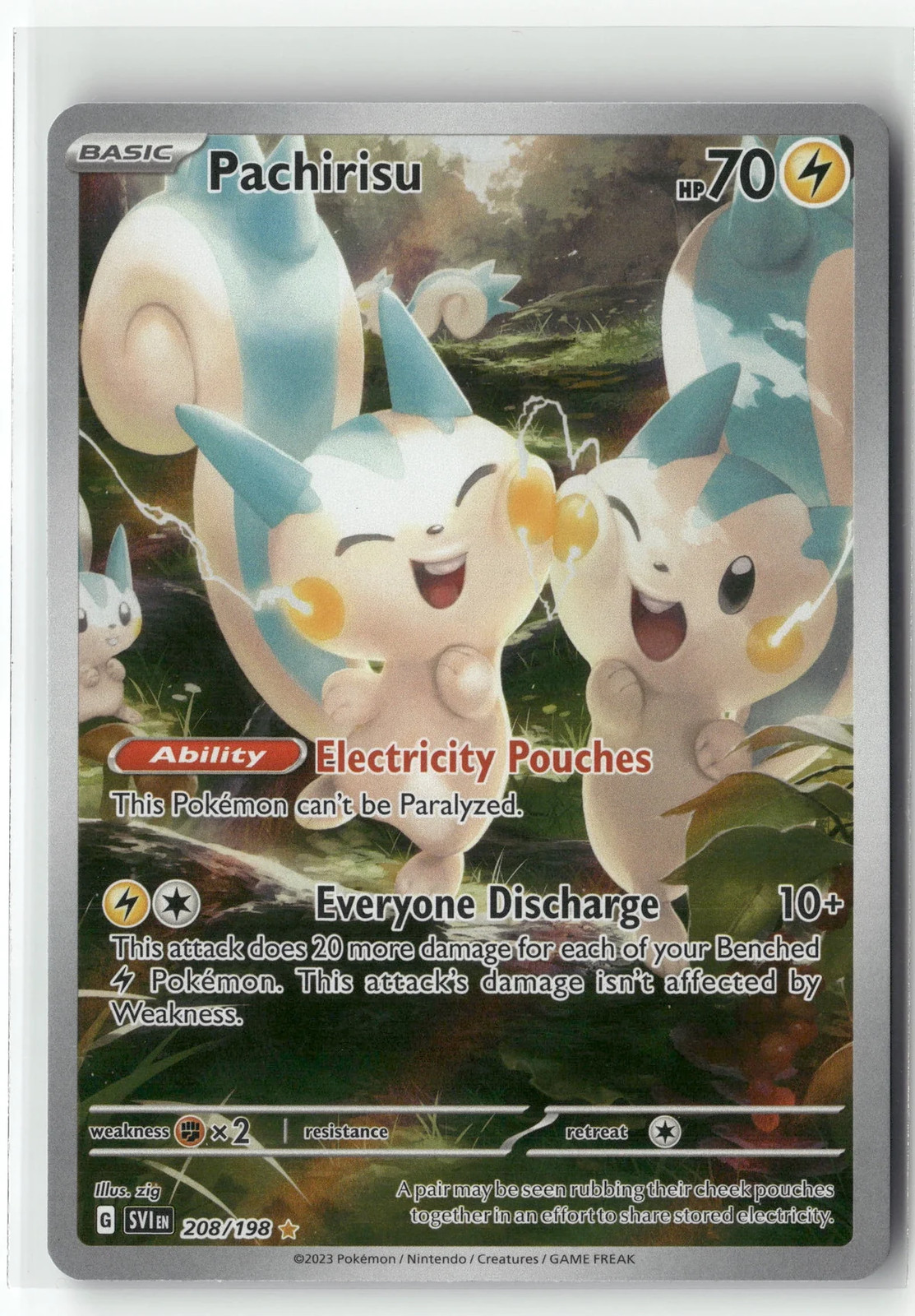 2023 Pokemon Scarlet & Violet Pachirisu 208/198 Illustration Rare NM