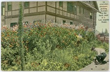 Antique 1909 Postcard Everyday Pleasure Picking Flowers in Yard Los Angeles CA