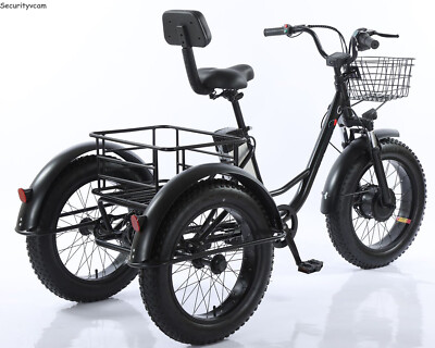 20 Zoll 48V Elektro-Dreirad mit 500W Motor LCD-Display 150kg Tragkraft  E-Trike | eBay.de