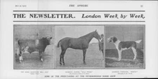 1901 CAMBRIDGESHIRE Peterborough Horse Show Wild Prince Stakes Fernie Worthy(17)