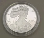 2003 $1 American Silver Eagle