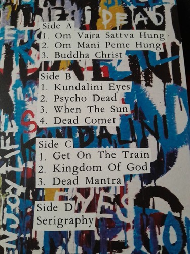 DEAD SKELETONS : Live in Berlin LP + EP - Neo Psychedelic, Shoegaze, Noise - Bild 10 von 10
