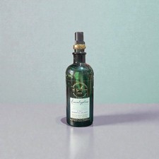 Bath and Body Works Eucalyptus Essential 5-in-1 Oil Mist