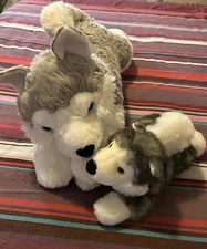 Aurora Jumbo Husky Wolf Flopsies Mush Plush 27” Blue Eyed, Plus Mini Pup Buddy