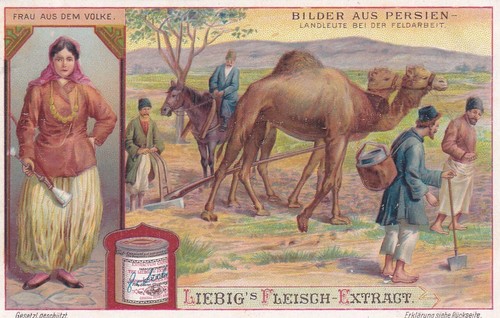 Liebig S905 6 cards In Persia pub. Antwerp in German (1907) - Picture 9 of 14