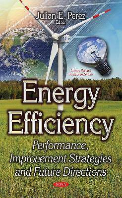 Energieeffizienz, , Taschenbuch