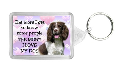i love my springer spaniel