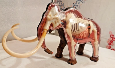 4D Master Vision Wollmammut Anatomie Modell Spielzeug Skulptur Skelett Mammut - Bild 1 von 4