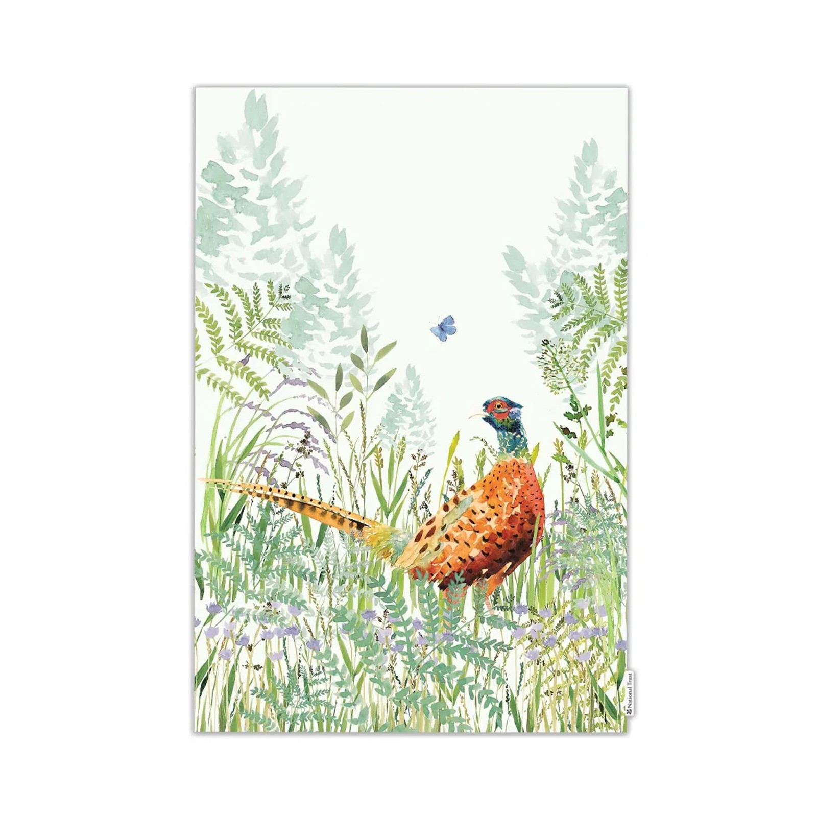 Eddingtons & National Trust Pheasant Tea Towel - Organic Cotton Kitchen Linens