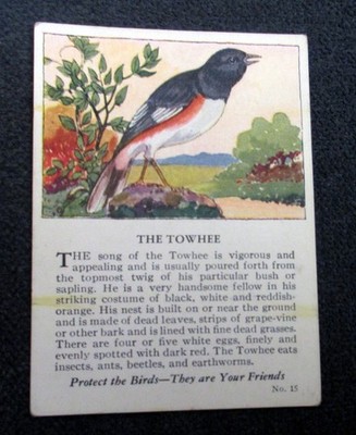 Krug's Rye Bread (Krug Baking Company) Bird Card #15 ''The Towhee''