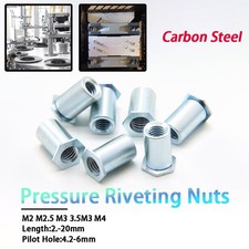 M2-M4 Carbon Steel Pressure Riveting Nuts Stud Through Hole Hexagon Head Rivnut