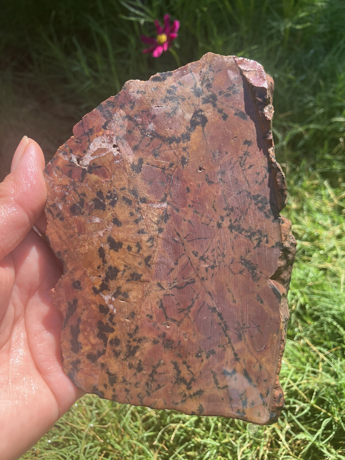 Dendritic Apache Rhyolite Slab (New Mexico) | eBay