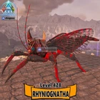 RHYNIO ARK Survival Ascended PC/PS5/XBOX PVE TOP HIGH STATS COLORED RHYNIOGNATHA