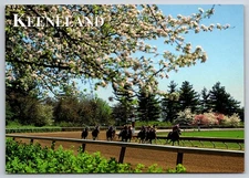 Vtg Postcard Keeneland Race Course Lexington Kentucky Horses Racing Thoroughbred