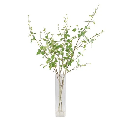 Uttermost 60254 Nigra 20"W Birch Branches Artificial Plant in a - Birch / Clear - Picture 4 of 5