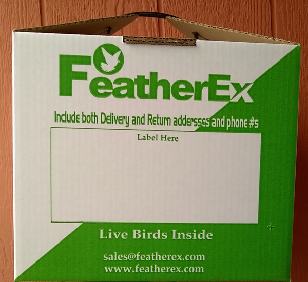 Package of 3 - 12 x 12 FeatherEx boxes : Live Bird shipping boxes - Picture 5 of 5