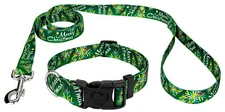 Country Brook Petz® Deluxe Christmas Cheer Dog Collar and Leash