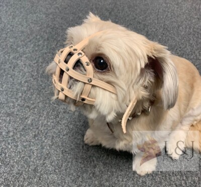 back seat pet protector for truck