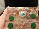 Bild 8 von 19