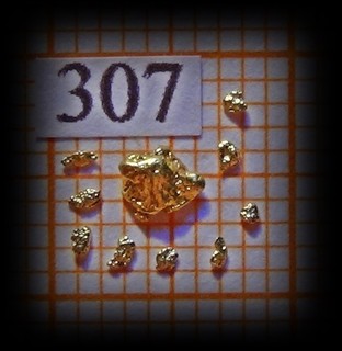10 Goldnuggets aus Alaska (307)