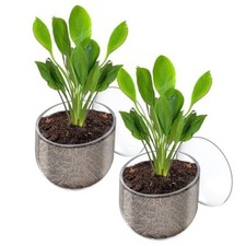 2 Pcs Aquarium Plant Holder, Fish Tank Plant Pot for Aquascape 2 Pack