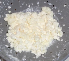 Kefir Grains-active live from local organic pasteurized milk. 2oz deli cup full