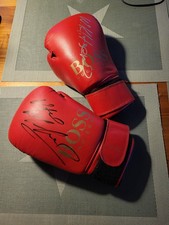 HUGO BOSS Box-Handschuhe original-signiert  Vitali & Wladimir Klitschko 