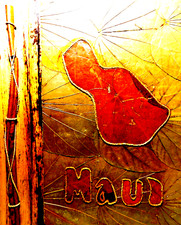 Aloha Maui Photo Album Natural Leaf Handcrafted Hawaii