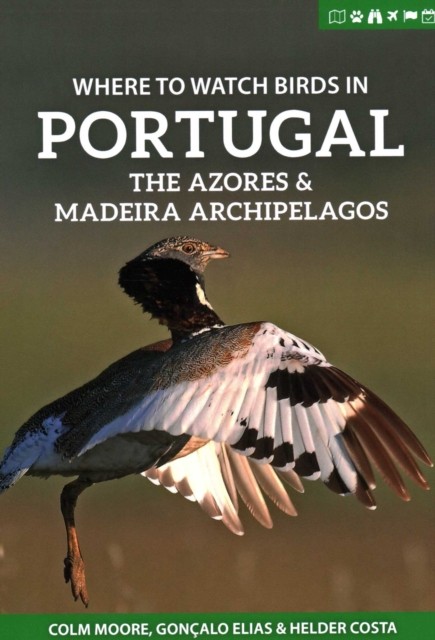 Where to Watch Birds in Portugal, the Azores & Madeira  by Colm Moore PAPERBACK