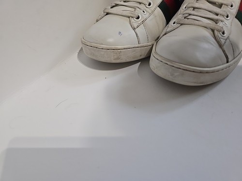 Sneakers basse Gucci originali 36,5 / US 6,5 bianche Ace Bee - Foto 6 di 17