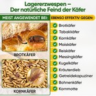 Bild 3 von 71