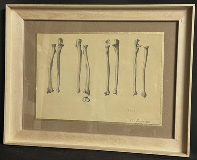 Old Signed 1943 Skeletal Study Drawing Framed Curious Study Anatomy Medical Art