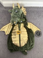 Magic dragon costume 6-9M 